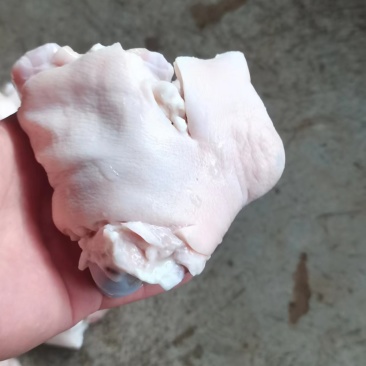 猪脚圈10kg32个左右