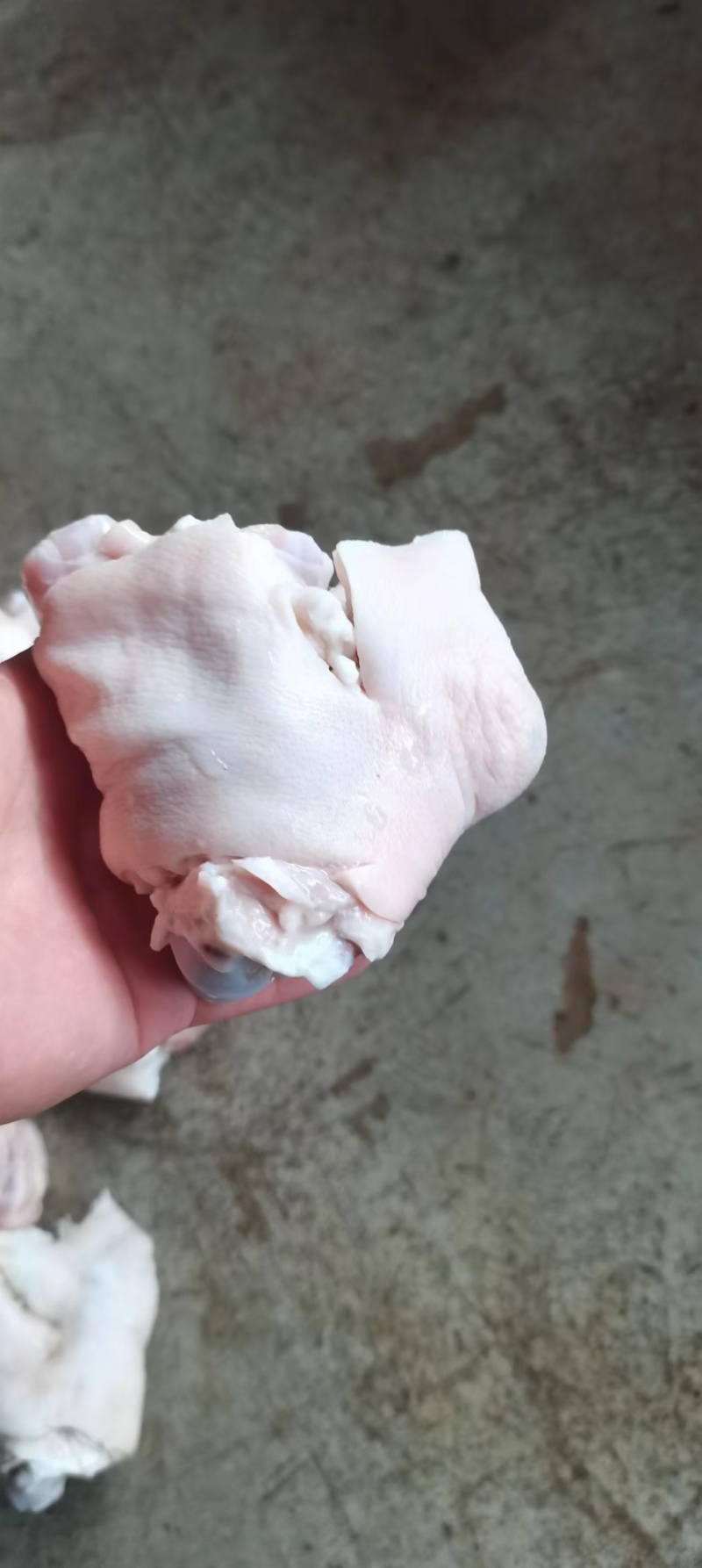 猪脚圈10kg32个左右