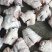 猪脚圈10kg32个左右