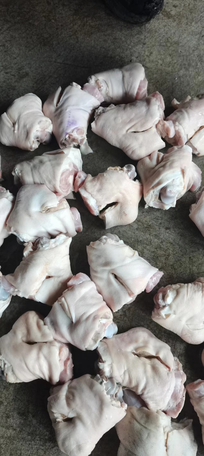 猪脚圈10kg32个左右