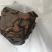 纯核桃仁压榨饼，营养美味双在线！还在找天然***的