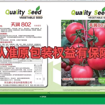 天润802原包装种子1000粒越冬耐寒硬度高