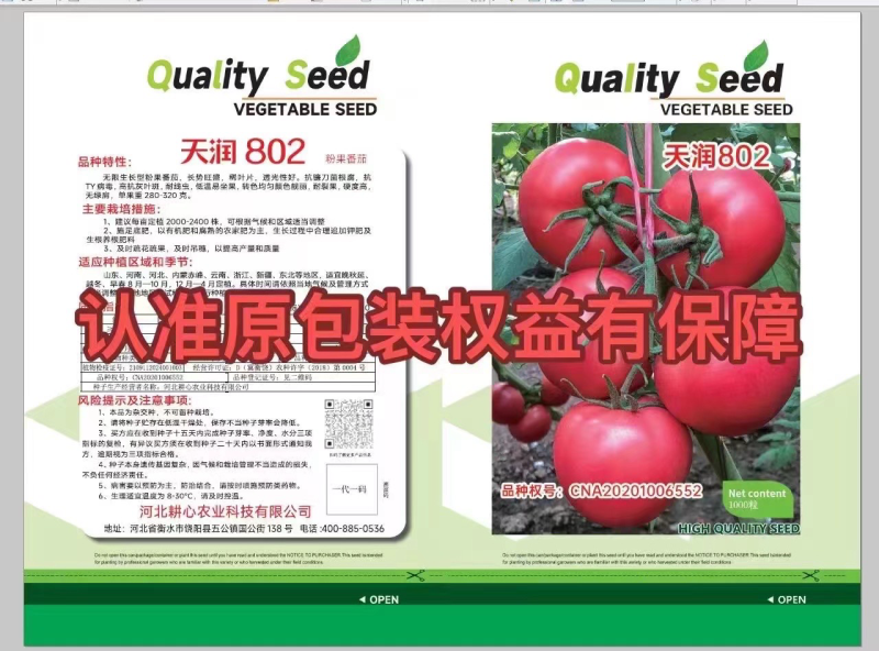 天润802原包装种子1000粒越冬耐寒硬度高