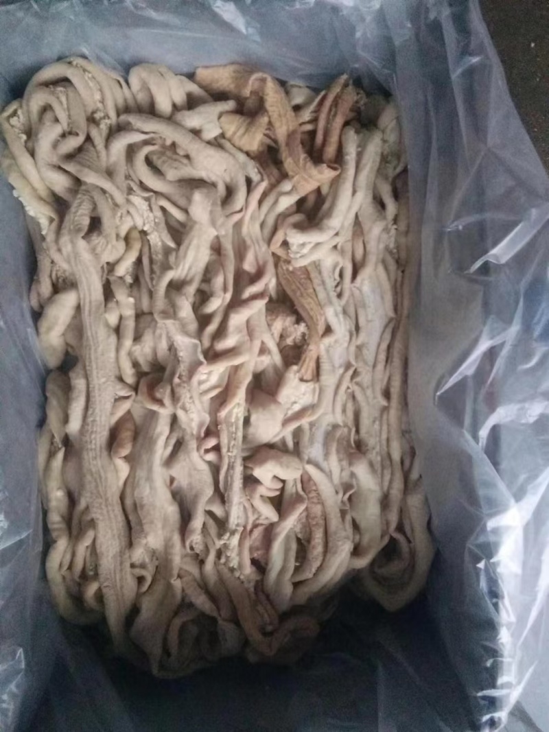 牛小肠