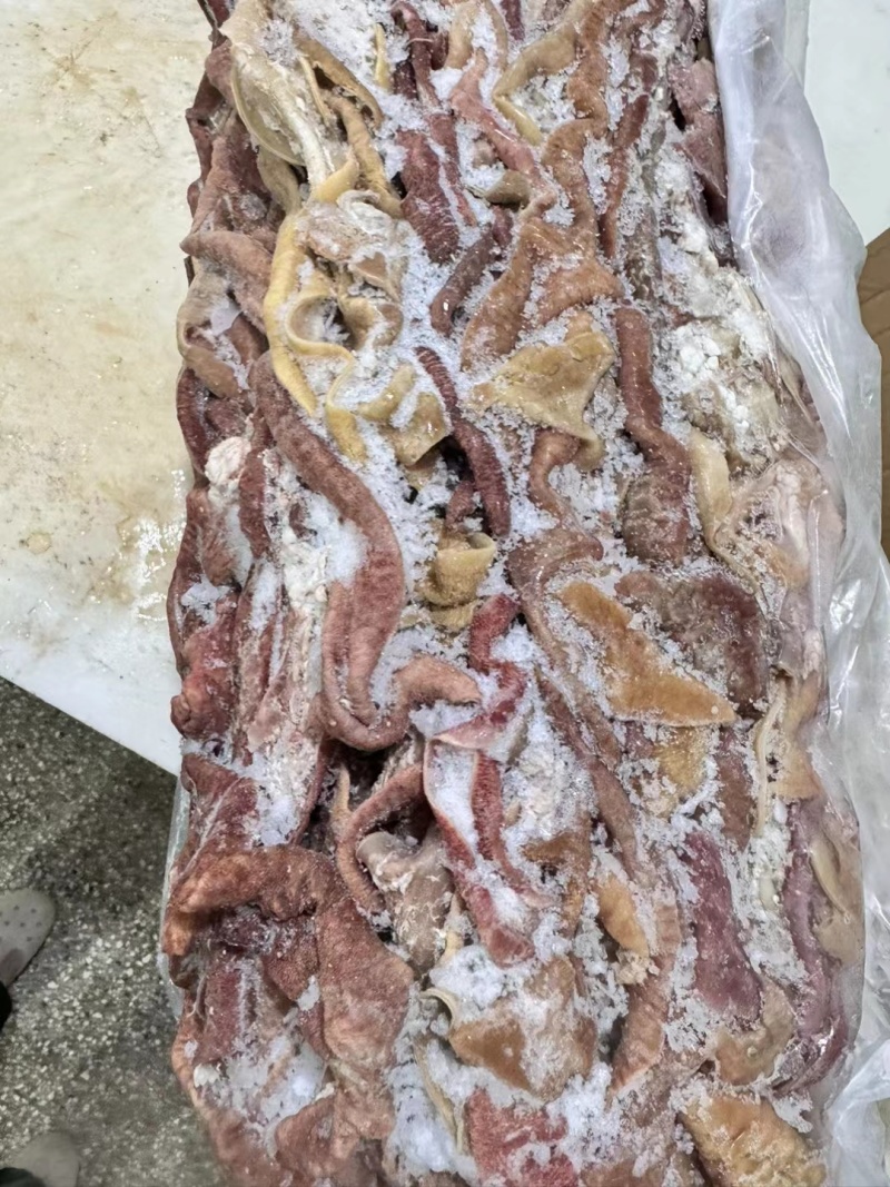 牛小肠