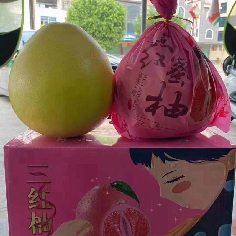 湖北蜜柚全国供应价格便宜可对接各大电商社区团购等