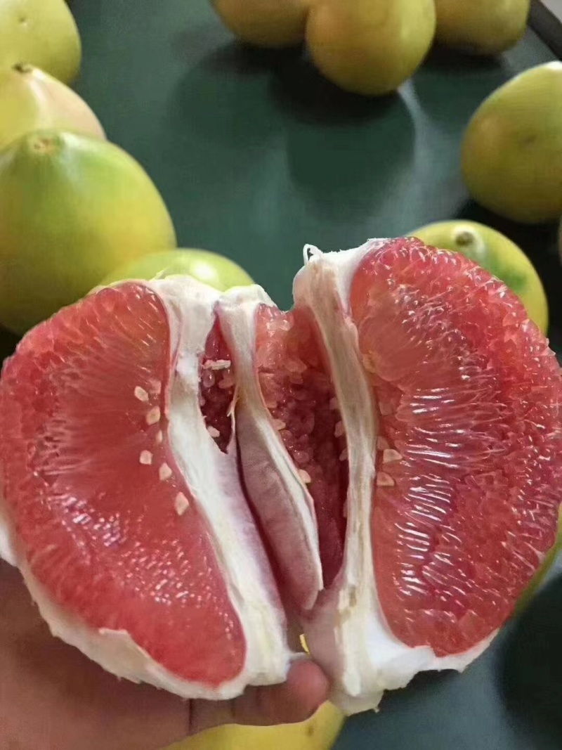 红心柚蜜柚等，品种齐全，基地直发，保质保量，可视频看货