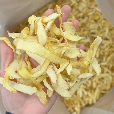 玉竹切片