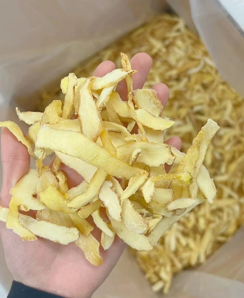 玉竹切片