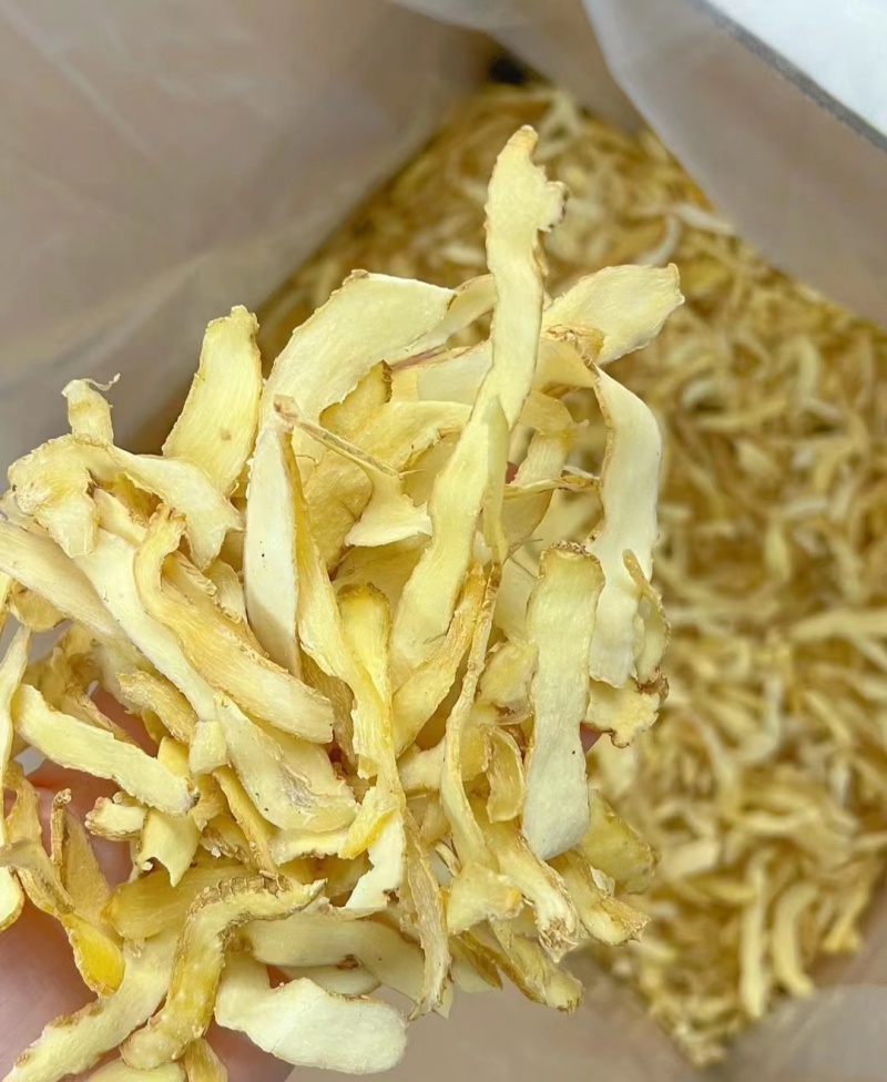 玉竹切片