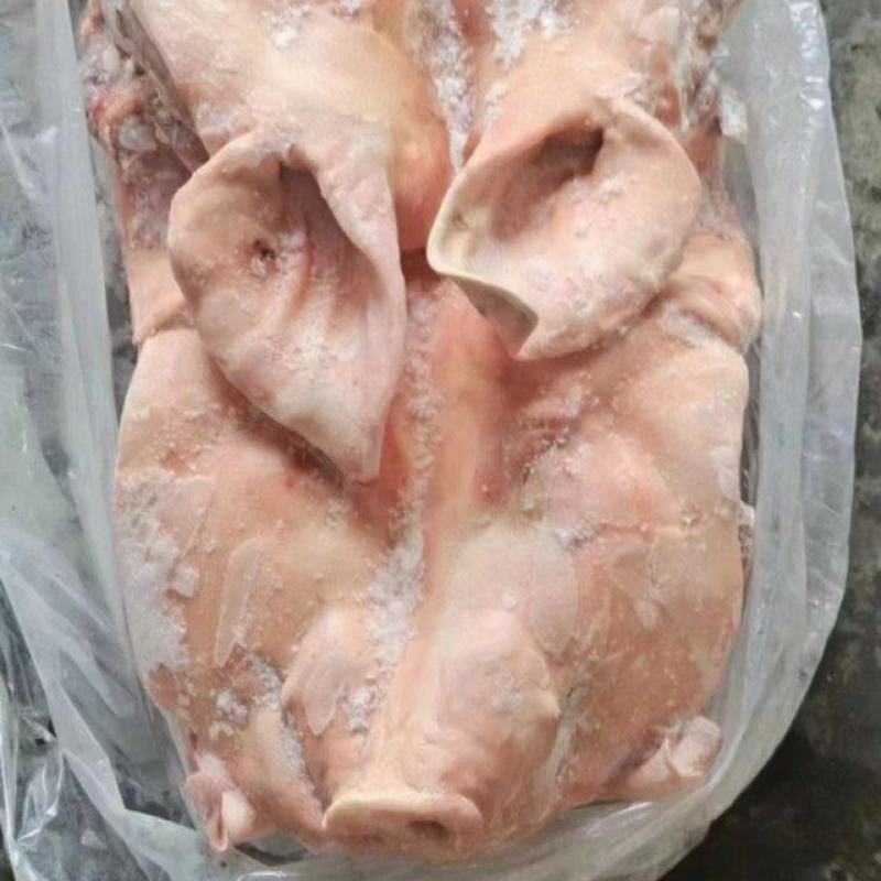 肥猪一级带耳头8-13