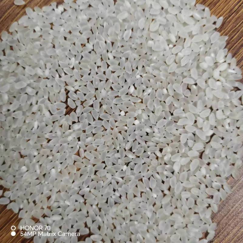 黄河口生态米/优质弱碱米/自产自销/6万亩种植区，粳米