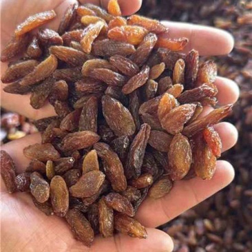 红香妃葡萄干，货量充足，诚信经营，欢迎客商来电