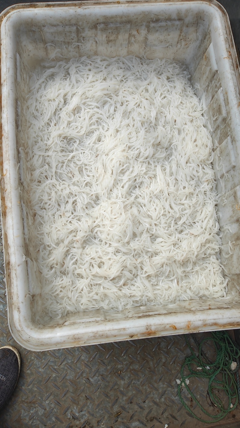 西北口银鱼，量大从优，价格优惠，可以代发全国各地欢迎联系