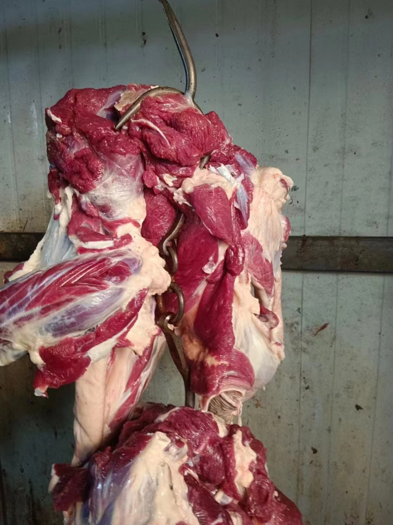 带皮马肉