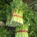山东芹菜商河芹菜西芹法国皇后精品通品常年有货产地直采
