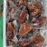 【卤味】带皮熟马肉