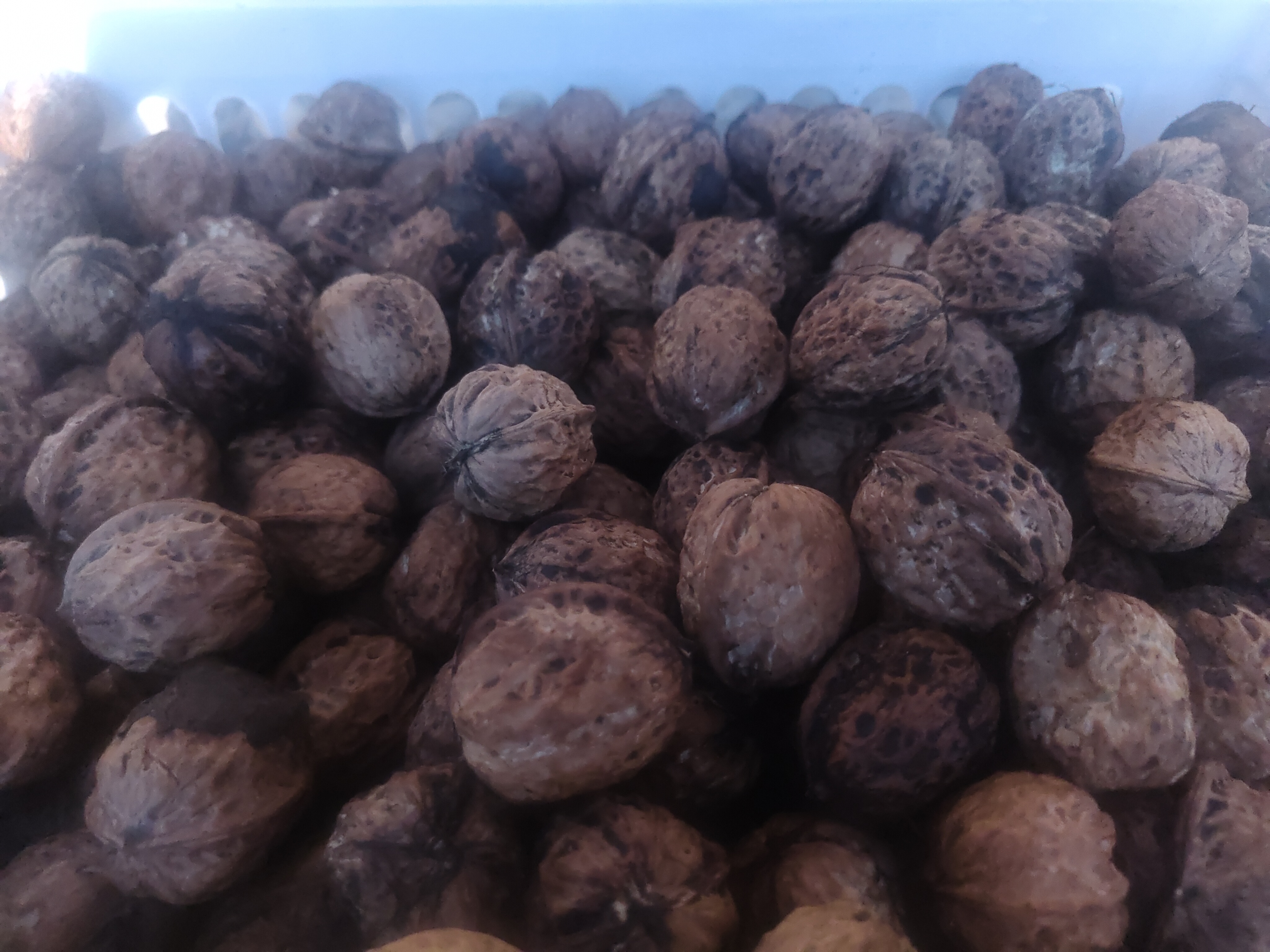 破壁机正在打核桃黑芝麻豆浆,食材细腻融合 破壁机打浆过程