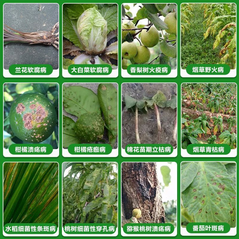 杀菌剂20%噻菌铜主要防治各种细菌性病龙湾龙克均
