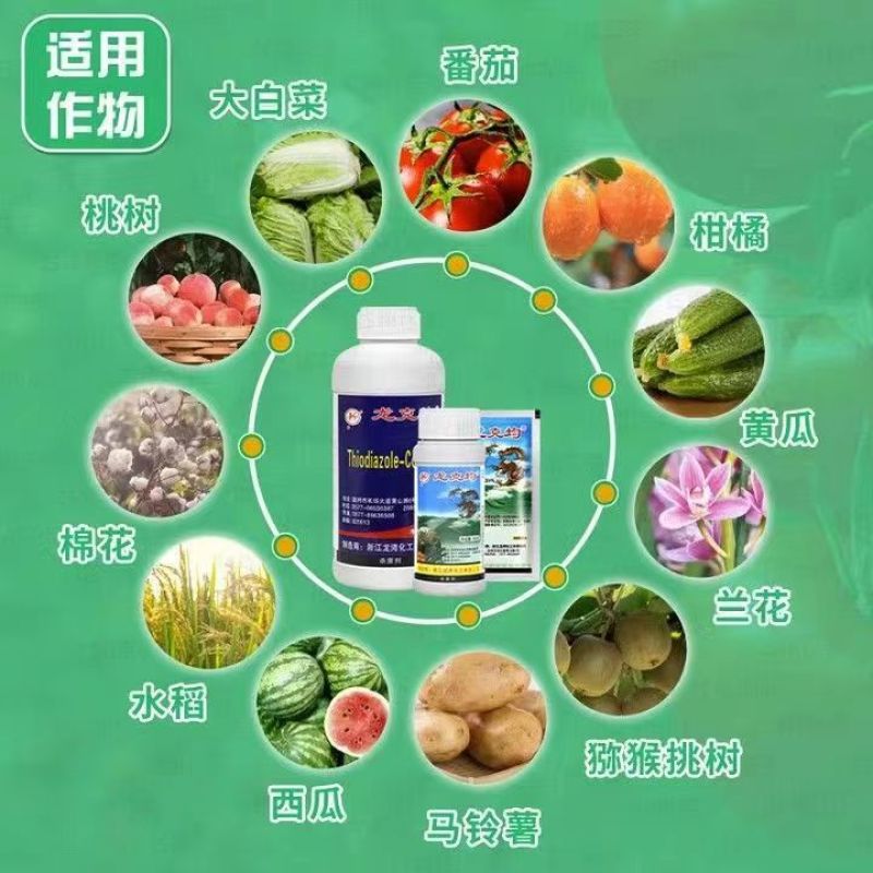 杀菌剂20%噻菌铜主要防治各种细菌性病龙湾龙克均