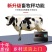 电子地磅秤无线小地磅家用带围栏1-5吨工业秤地磅