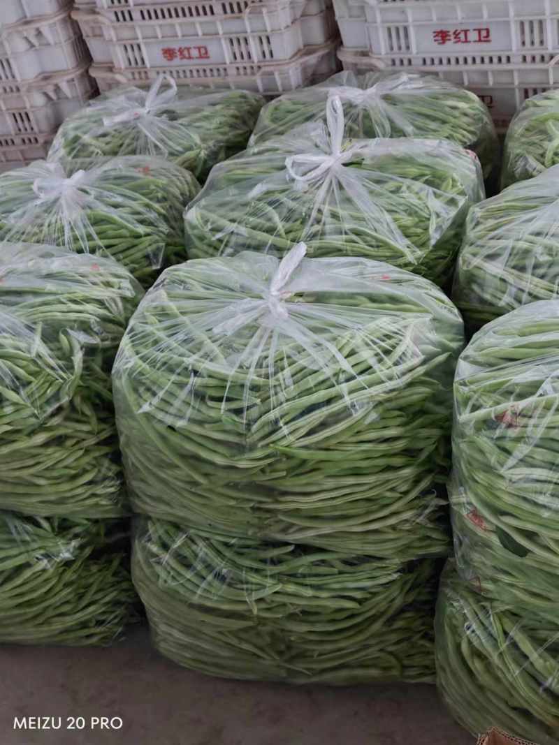 精品豆角