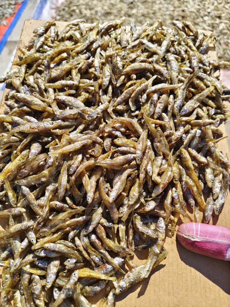 麦穗鱼干小鱼干嫩子鱼麦穗鱼无粉油炸鱼