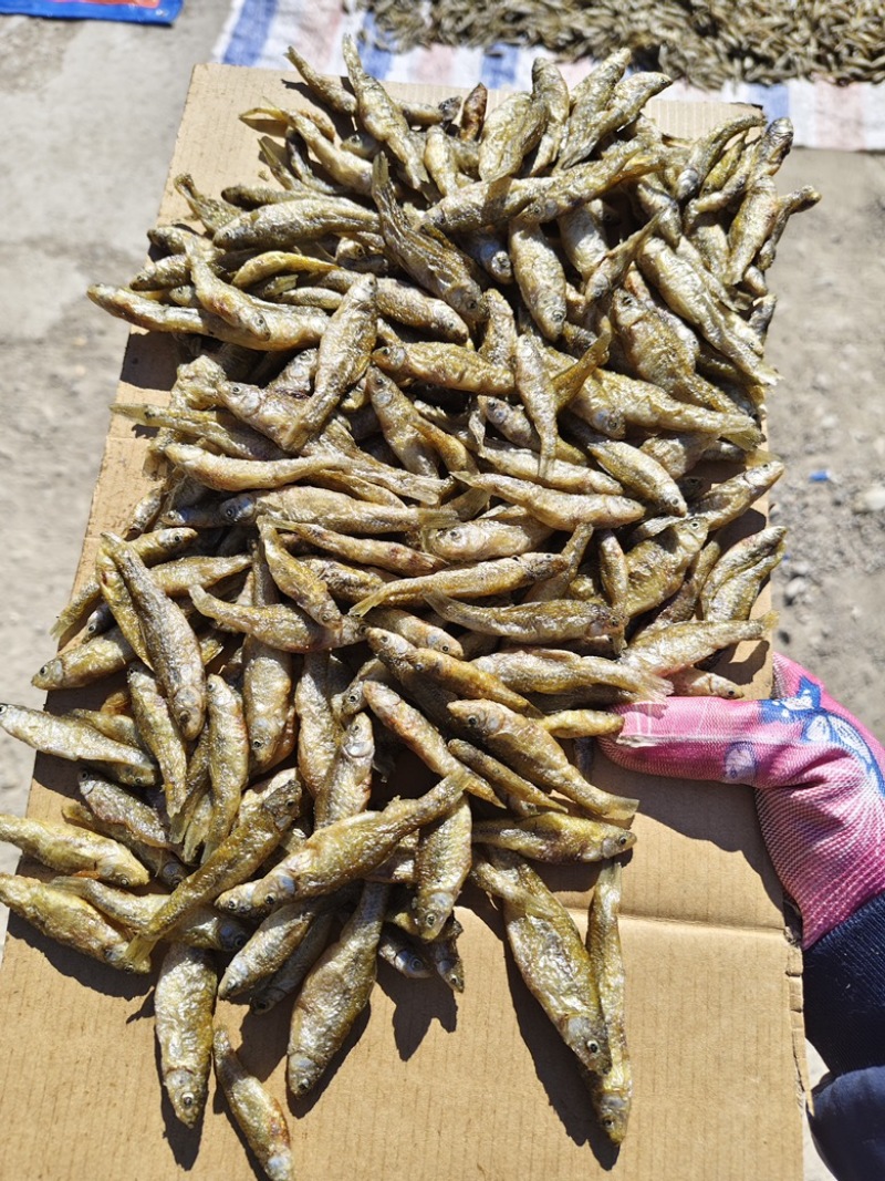 麦穗鱼干小鱼干嫩子鱼麦穗鱼无粉油炸鱼