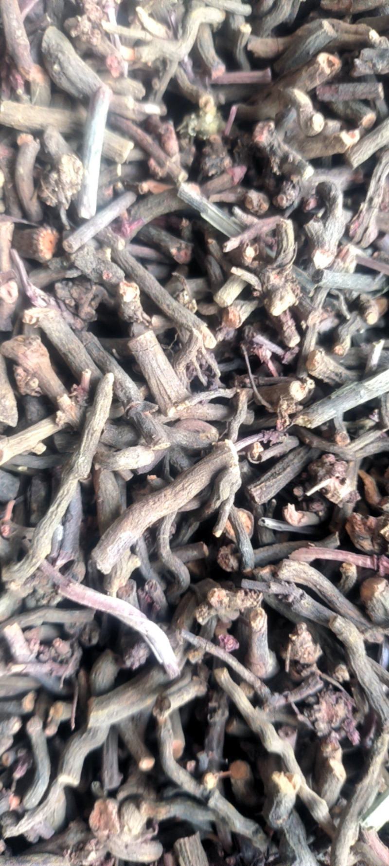 优选茜草山东野生货各种规各产地直供量大从优️批发