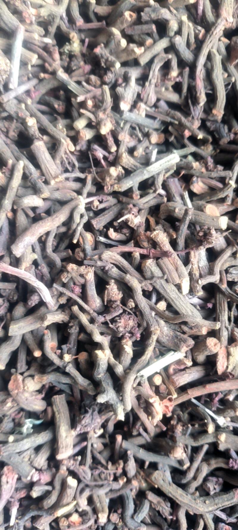 优选茜草山东野生货各种规各产地直供量大从优️批发