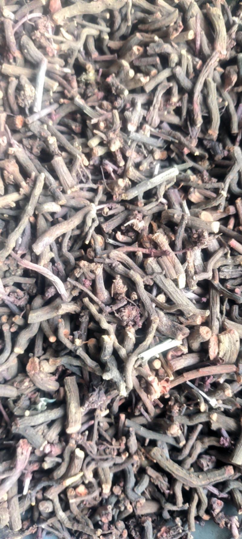 优选茜草山东野生货各种规各产地直供量大从优️批发