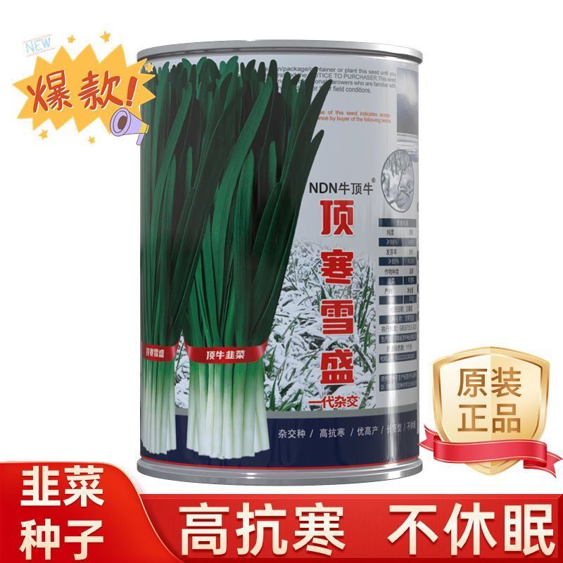 正品顶寒雪盛韭菜种子耐寒韭菜种籽抗寒雪韭露地大棚露天韭菜