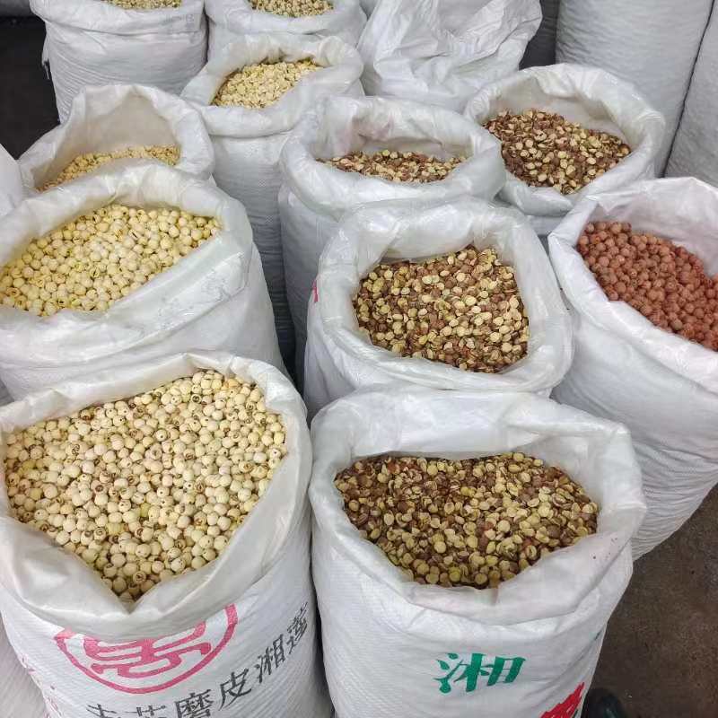湖南湘潭红圆莲子颗粒大带芯红莲子常年有大货