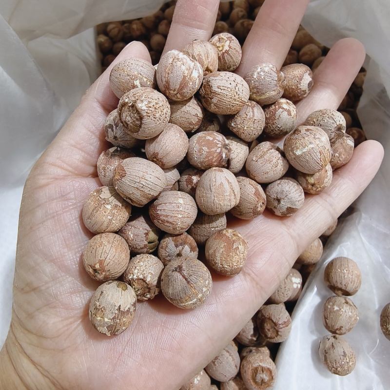 湖南湘潭红圆莲子颗粒大带芯红莲子常年有大货