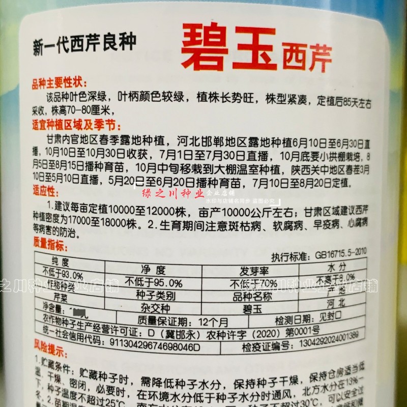 新一代西芹良种碧玉西芹种子籽叶色深绿叶柄颜色较绿杂交芹菜