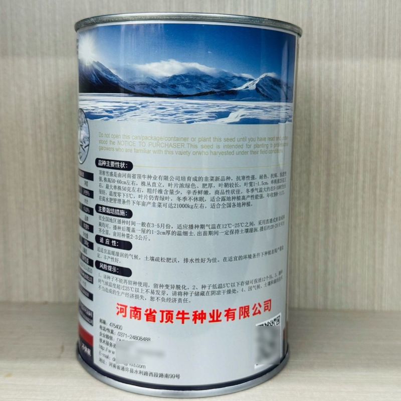正品顶寒雪盛韭菜种子耐寒韭菜种籽抗寒雪韭露地大棚露天韭菜
