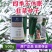 原厂正品顶牛99韭菜种子高产抗病耐寒韭菜种籽大棚露地专用