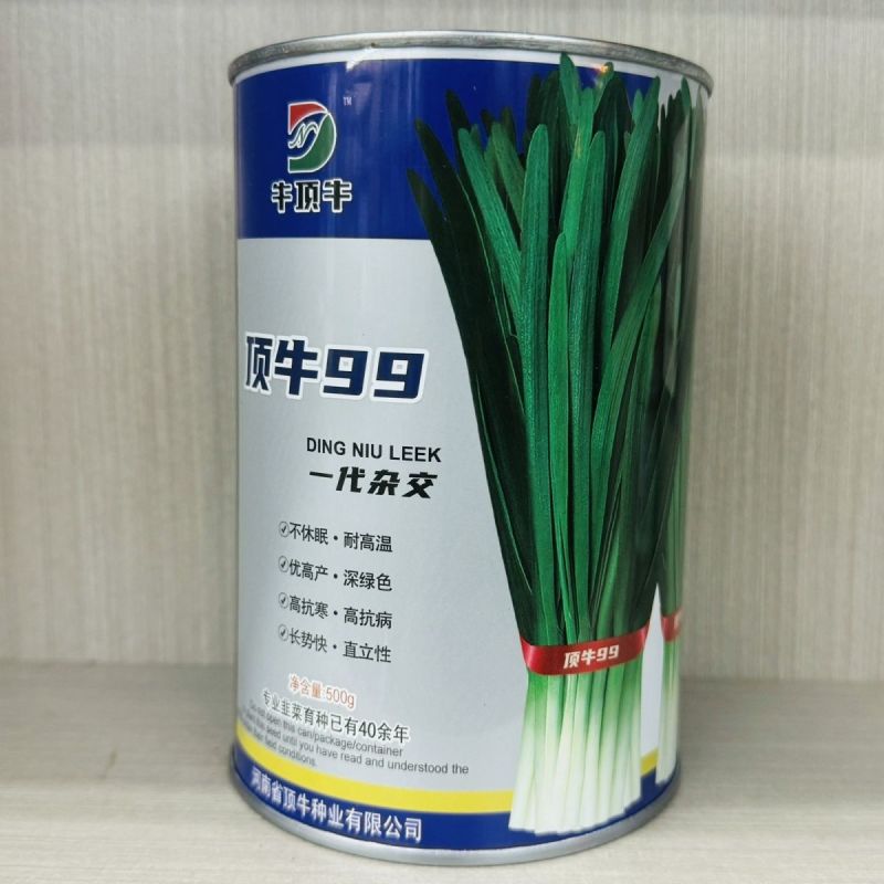 原厂正品顶牛99韭菜种子高产抗病耐寒韭菜种籽大棚露地专用