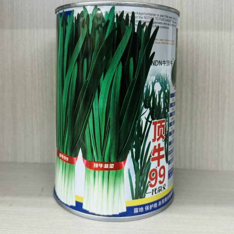 原厂正品顶牛99韭菜种子高产抗病耐寒韭菜种籽大棚露地专用