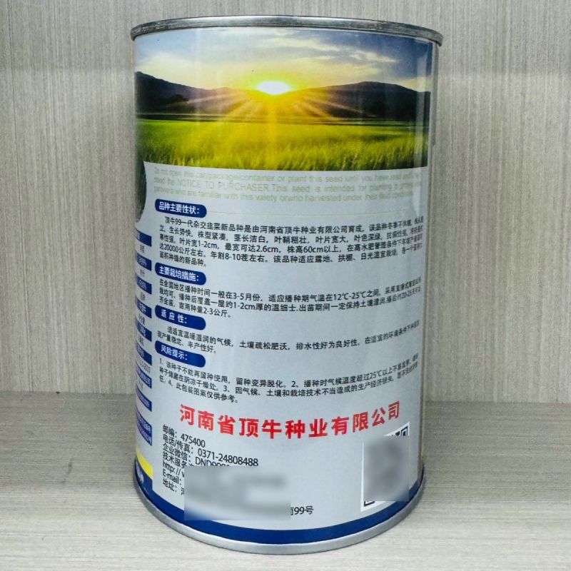 原厂正品顶牛99韭菜种子高产抗病耐寒韭菜种籽大棚露地专用