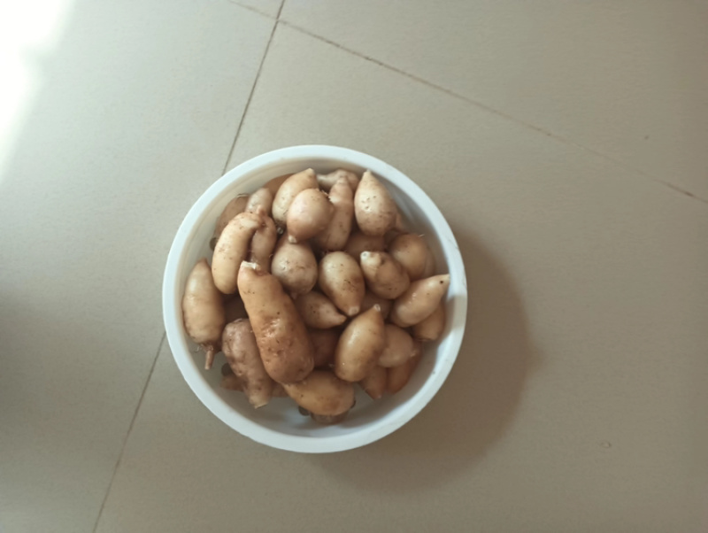 精品莪术，货源充足，产地直发，诚信经营，欢迎客商来电