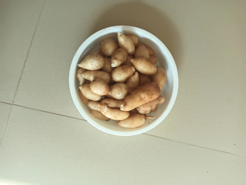 精品莪术，货源充足，产地直发，诚信经营，欢迎客商来电