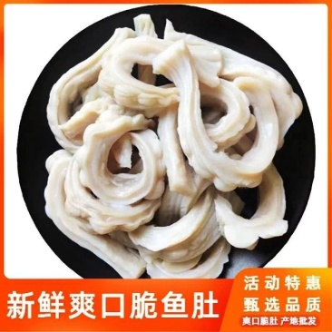 新鲜鲨鱼肚鲨鱼肠爽口脆肚脆肠火锅烤串，欢迎致电