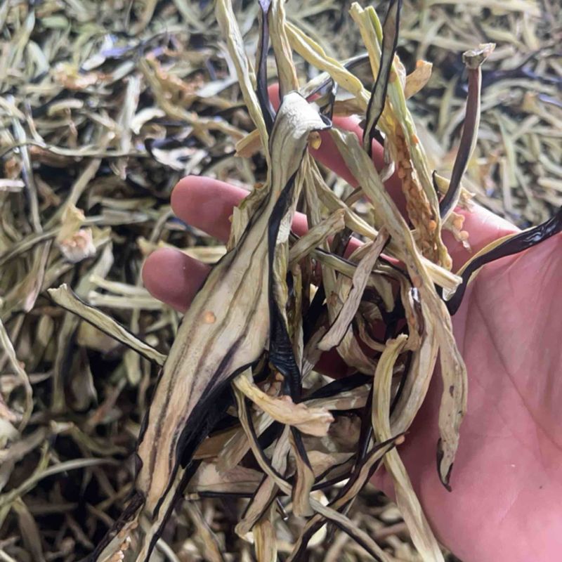 茄子条