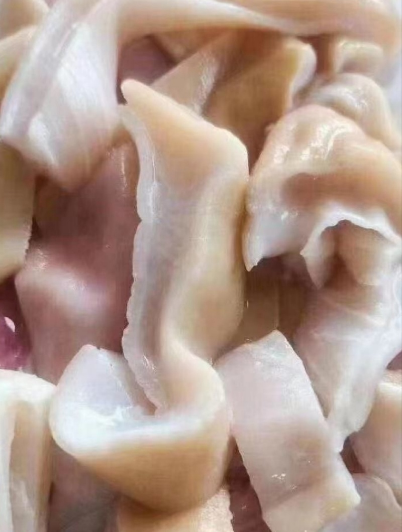 新鲜鲨鱼肚鲨鱼肠爽口脆肚脆肠火锅烤串，欢迎致电