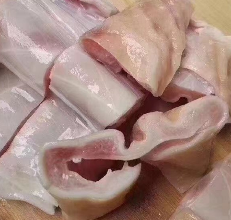 新鲜鲨鱼肚鲨鱼肠爽口脆肚脆肠火锅烤串，欢迎致电