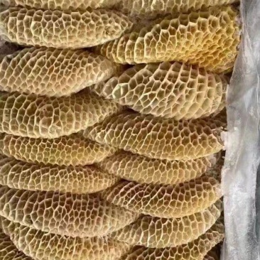金钱肚新鲜冷冻商用半成品牛肚蜂窝肚火锅食材生鲜牛肚