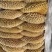 金钱肚新鲜冷冻商用半成品牛肚蜂窝肚火锅食材生鲜牛肚