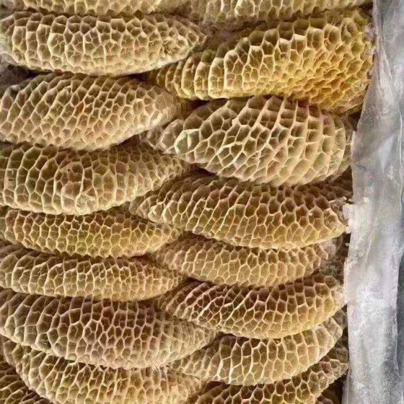 金钱肚新鲜冷冻商用半成品牛肚蜂窝肚火锅食材生鲜牛肚