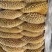 金钱肚新鲜冷冻商用半成品牛肚蜂窝肚火锅食材生鲜牛肚